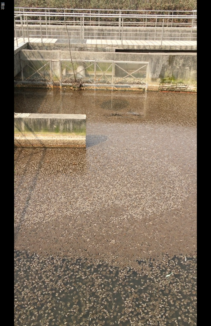 Rubber & Plastic Compared MBBR Filter Media Activated Sludge Process